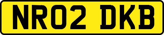 NR02DKB