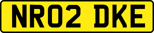 NR02DKE