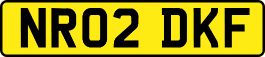 NR02DKF
