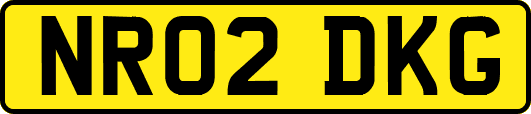 NR02DKG