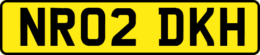 NR02DKH