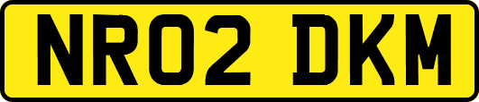 NR02DKM
