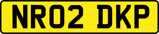 NR02DKP