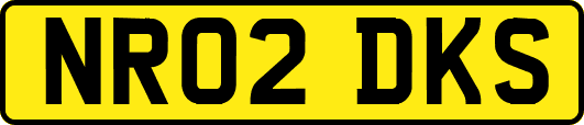 NR02DKS