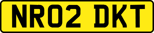 NR02DKT