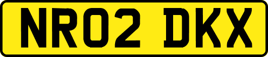 NR02DKX