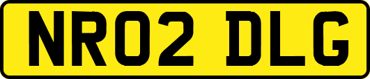 NR02DLG