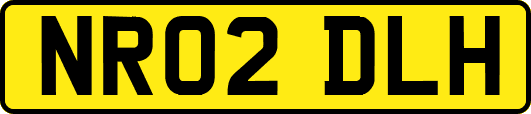 NR02DLH
