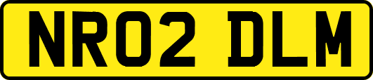 NR02DLM