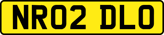 NR02DLO
