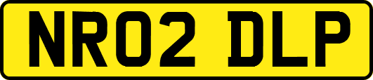 NR02DLP