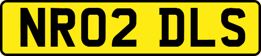 NR02DLS