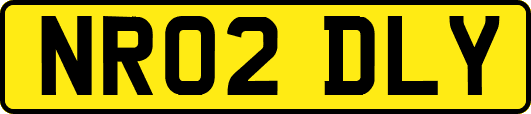NR02DLY