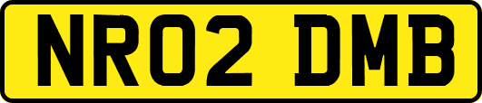 NR02DMB