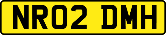 NR02DMH