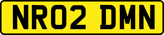 NR02DMN