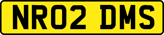 NR02DMS