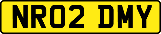 NR02DMY
