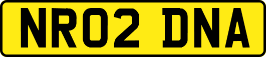 NR02DNA