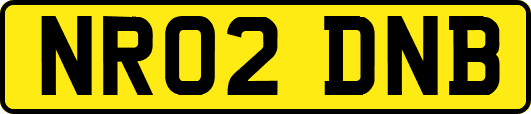 NR02DNB