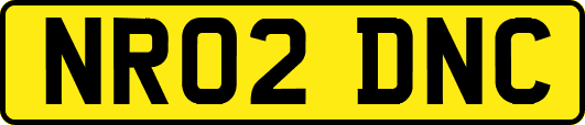 NR02DNC