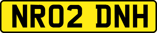 NR02DNH