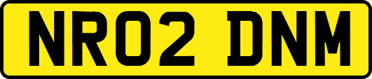 NR02DNM