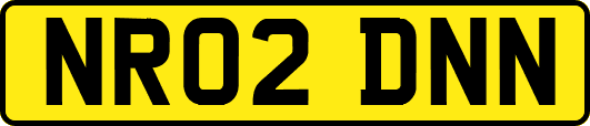 NR02DNN