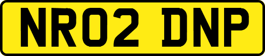 NR02DNP