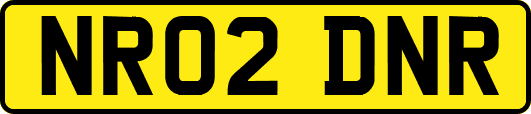 NR02DNR