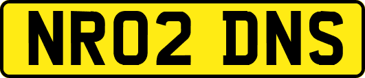 NR02DNS