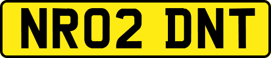 NR02DNT