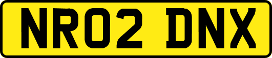 NR02DNX