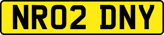 NR02DNY