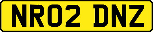 NR02DNZ