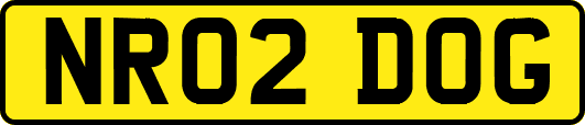 NR02DOG