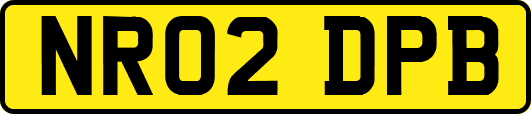 NR02DPB