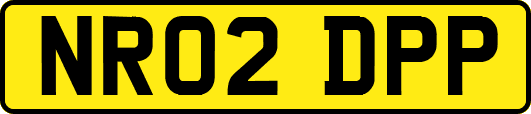 NR02DPP