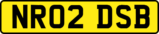 NR02DSB