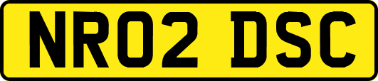 NR02DSC