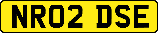 NR02DSE