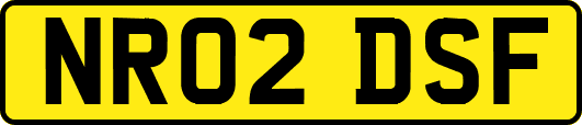 NR02DSF