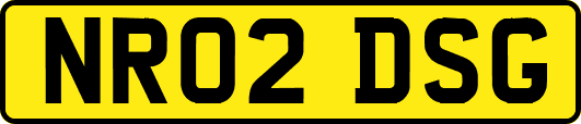 NR02DSG