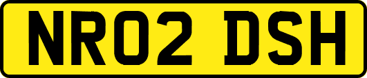 NR02DSH