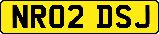 NR02DSJ