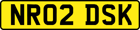 NR02DSK