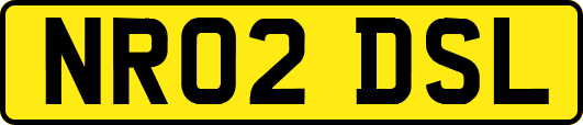 NR02DSL