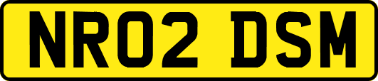 NR02DSM