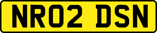 NR02DSN