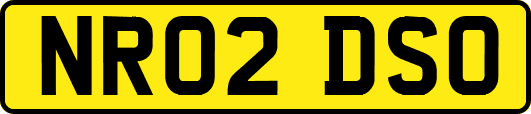 NR02DSO